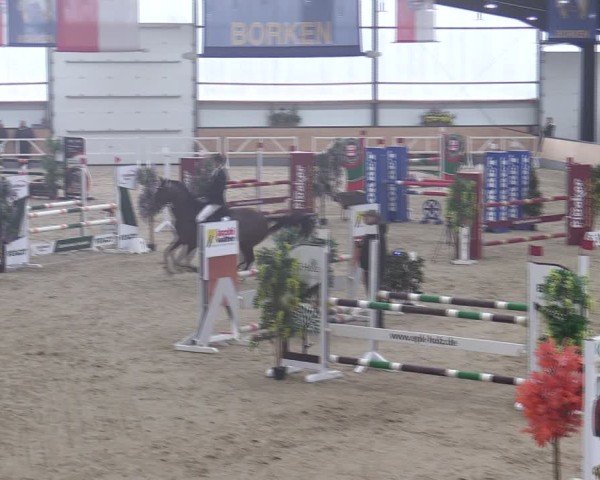 Reitturnier Borken (Hessen) 2025