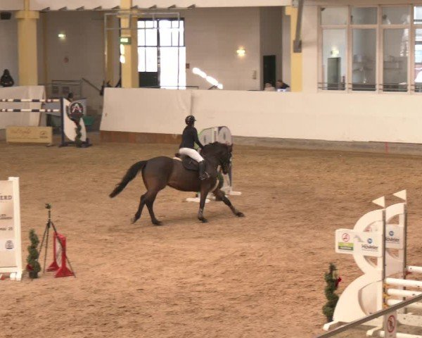 Reitturnier Stadl-Paura 2025
