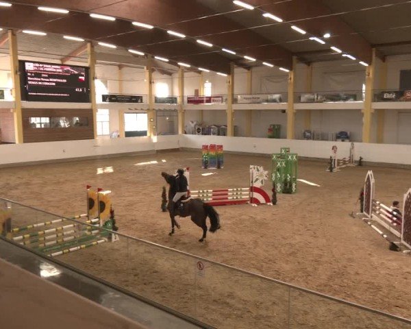 Reitturnier Stadl-Paura 2025