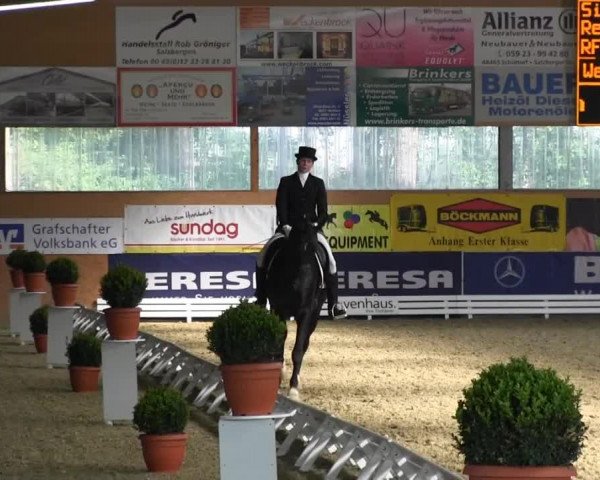 Reitturnier Isterberg 2013