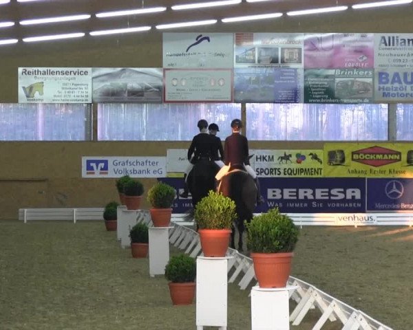 Reitturnier Isterberg 2013