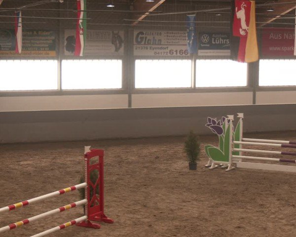 Reitturnier Luhmühlen 2025