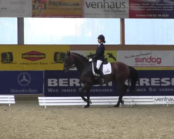 Reitturnier Isterberg 2013