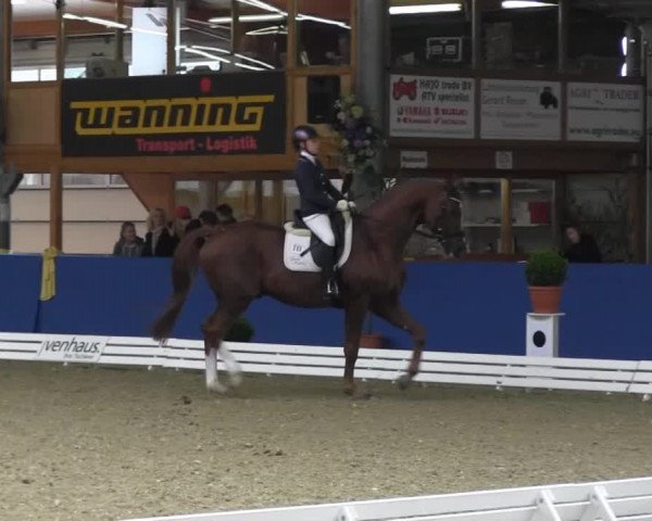 Reitturnier Isterberg 2013