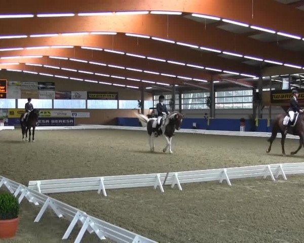 Reitturnier Isterberg 2013
