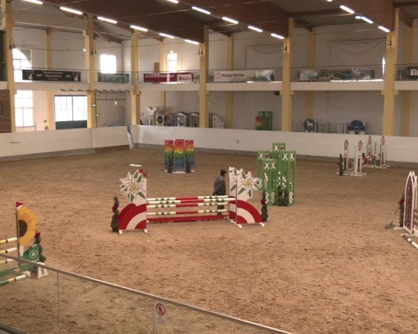 Reitturnier Stadl-Paura 2025