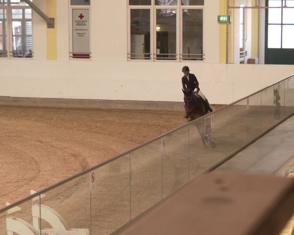 Reitturnier Stadl-Paura 2025