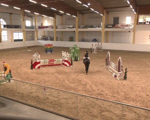 Reitturnier Stadl-Paura 2025