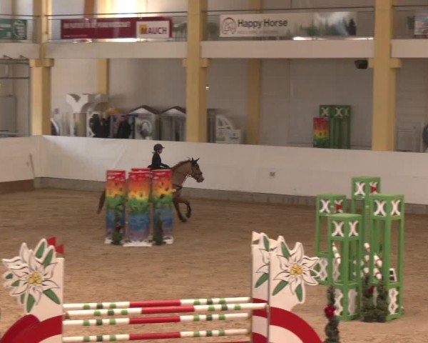Reitturnier Stadl-Paura 2025