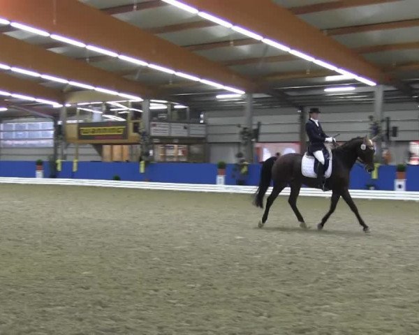 Reitturnier Isterberg 2013