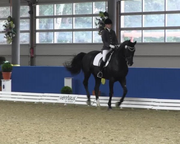 Reitturnier Isterberg 2013