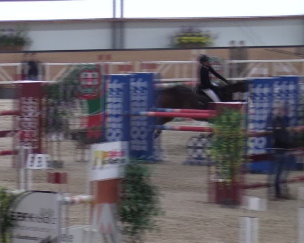 Reitturnier Borken (Hessen) 2025