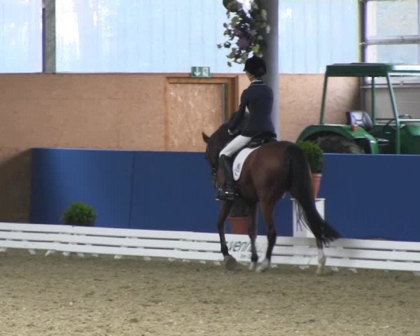 Reitturnier Isterberg 2013