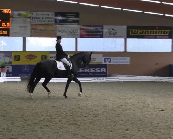 Reitturnier Isterberg 2013
