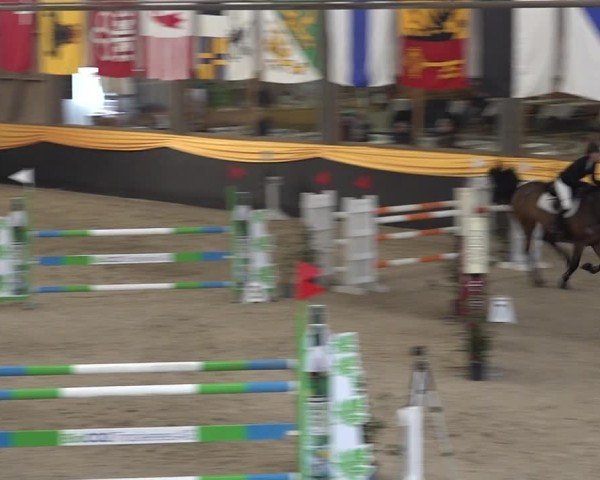 Reitturnier Erlen 2025