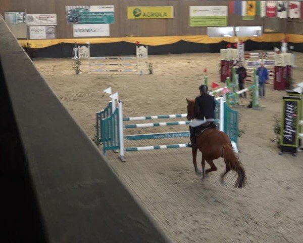 Reitturnier Erlen 2025