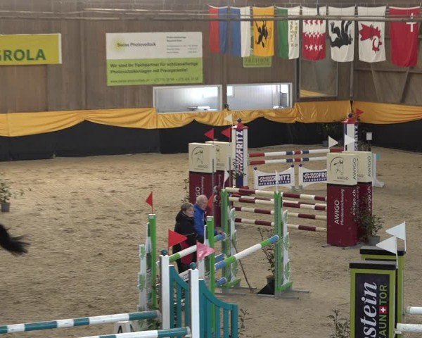 Reitturnier Erlen 2025