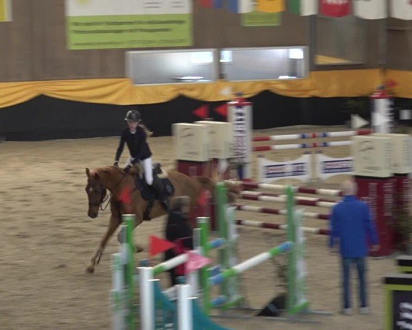 Reitturnier Erlen 2025