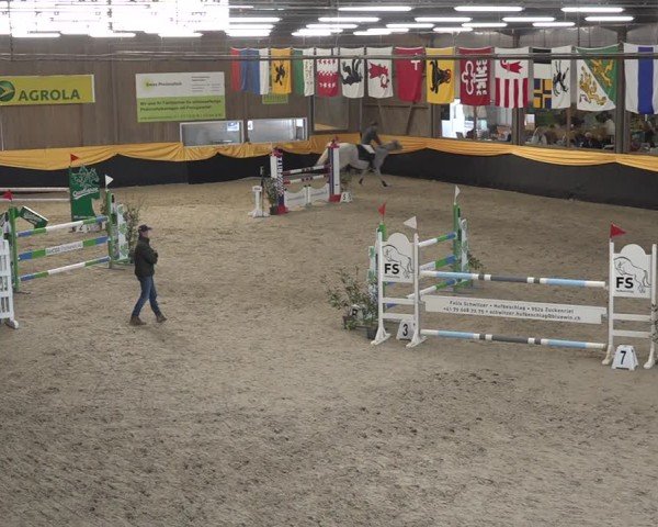 Reitturnier Erlen 2025