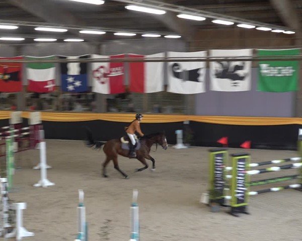 Reitturnier Erlen 2025