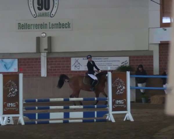 Reitturnier Lembeck 2025