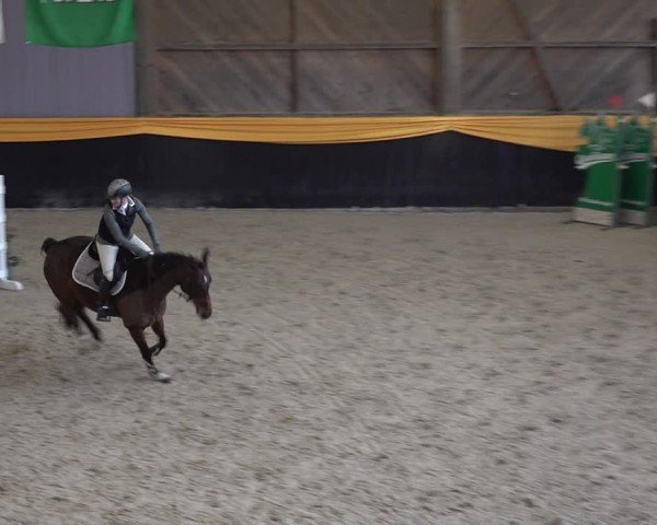 Reitturnier Erlen 2025