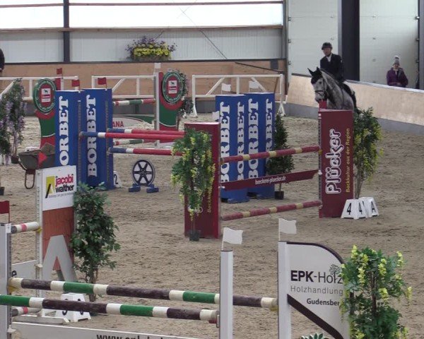 Reitturnier Borken (Hessen) 2025