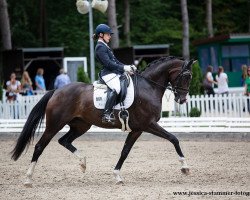 Dressurpferd Zieta 10 (Deutsches Sportpferd, 2016, von Birkhof's Zalando OLD)