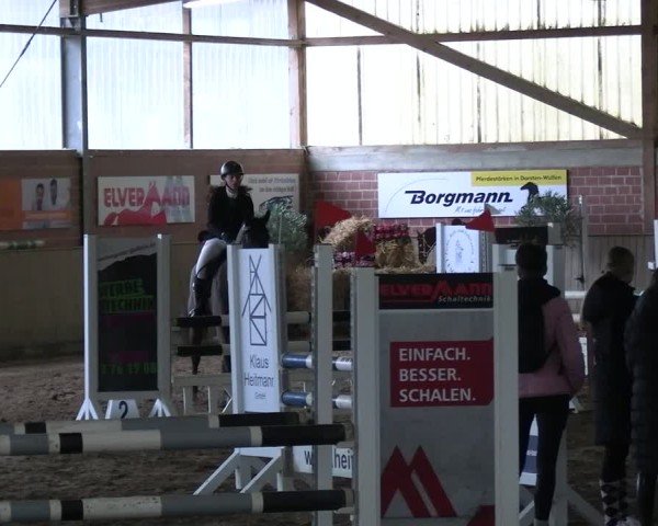 Reitturnier Lembeck 2025