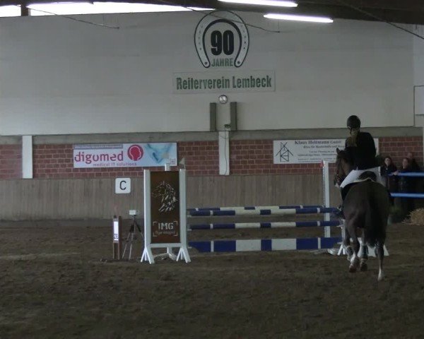 Reitturnier Lembeck 2025