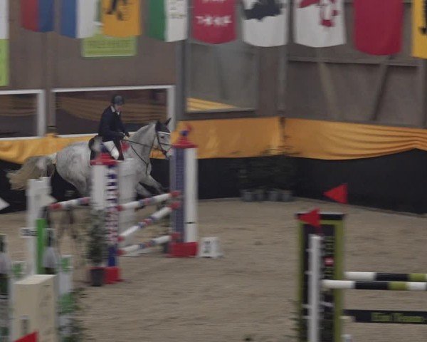 Reitturnier Erlen 2025