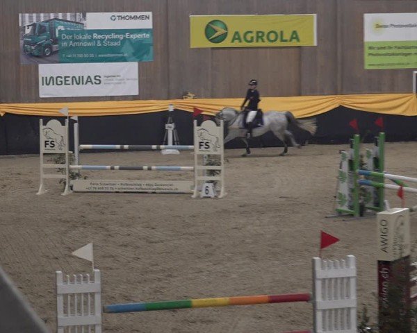 Reitturnier Erlen 2025