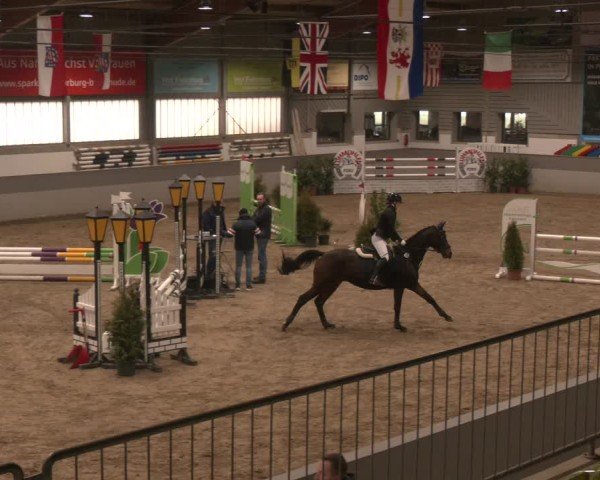 Reitturnier Luhmühlen 2025