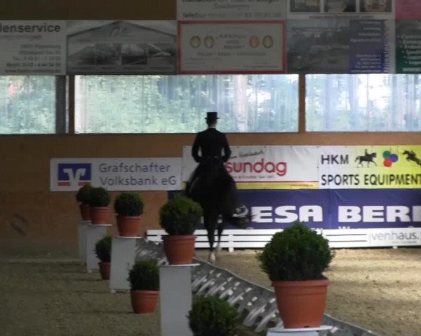 5. Isterberger Euregio-Hallen-Dressurturnier am 03.-06.10.2013