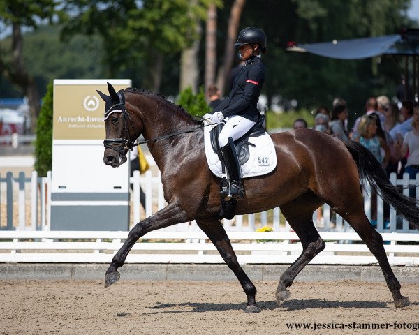 dressage horse Lorina G (Rhinelander, 2016, from Lord Loxley I)