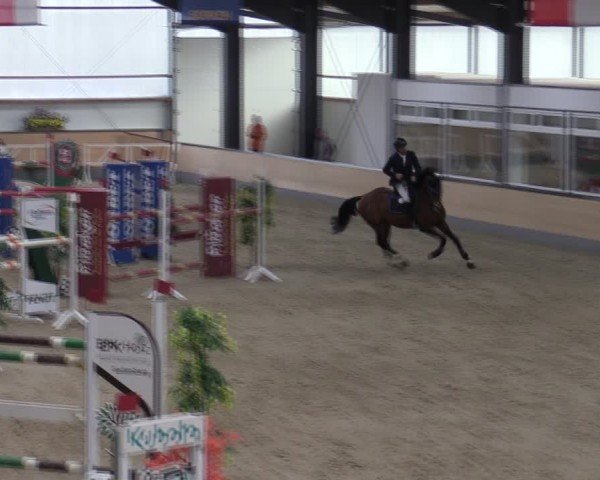 Reitturnier Borken (Hessen) 2025