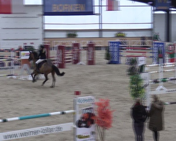 Reitturnier Borken (Hessen) 2025