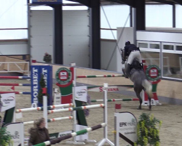Reitturnier Borken (Hessen) 2025