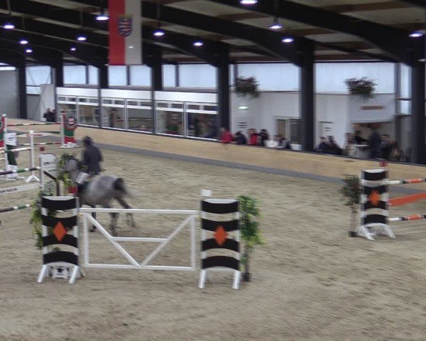 Reitturnier Borken (Hessen) 2025