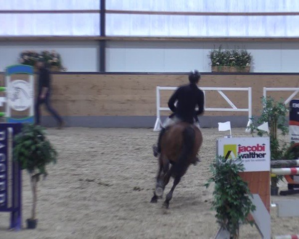 Reitturnier Borken (Hessen) 2025