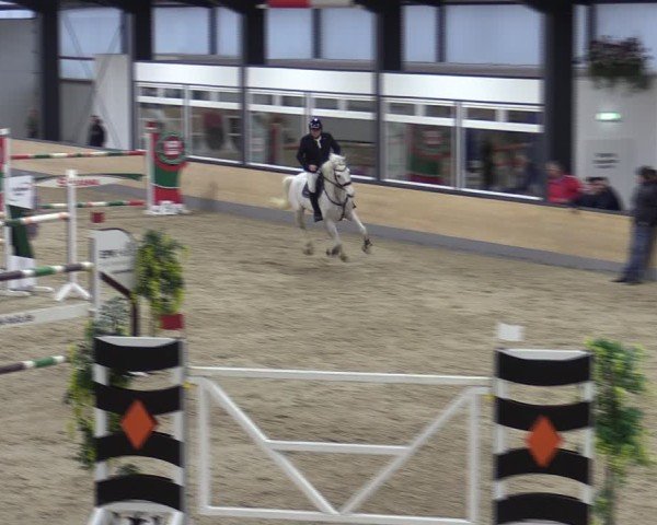 Reitturnier Borken (Hessen) 2025