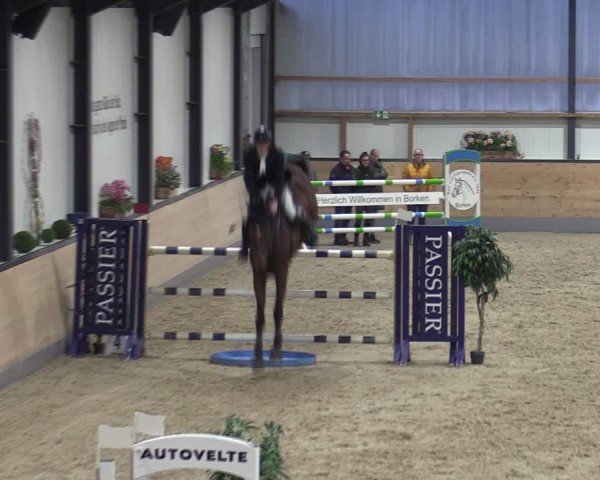 Reitturnier Borken (Hessen) 2025