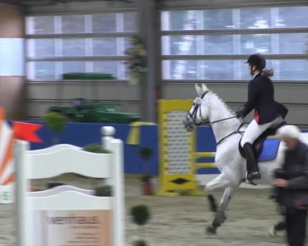 Reitturnier Isterberg 2013