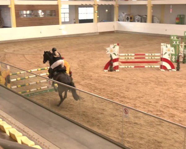 Reitturnier Stadl-Paura 2025