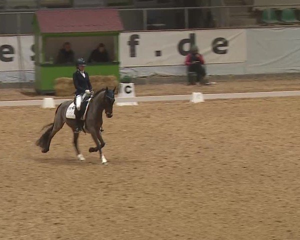 Reitturnier Kreuth 2025