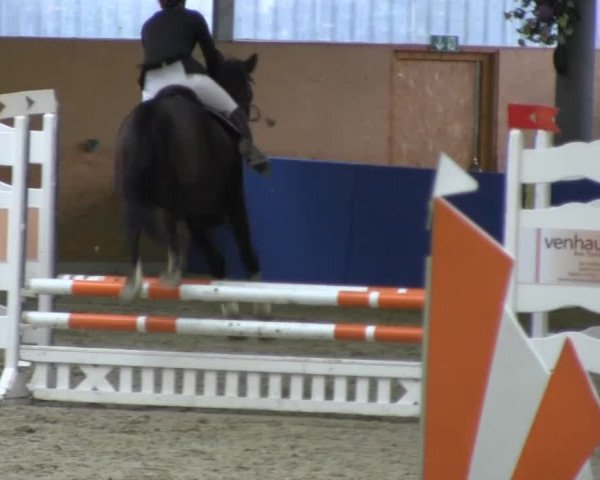Reitturnier Isterberg 2013