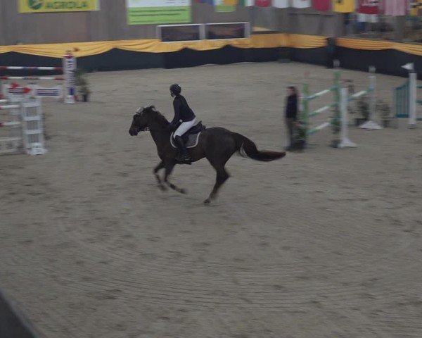 Reitturnier Erlen 2025