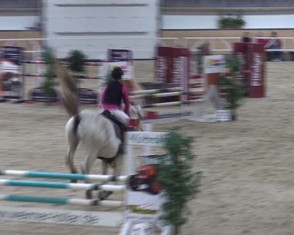 Reitturnier Borken (Hessen) 2025