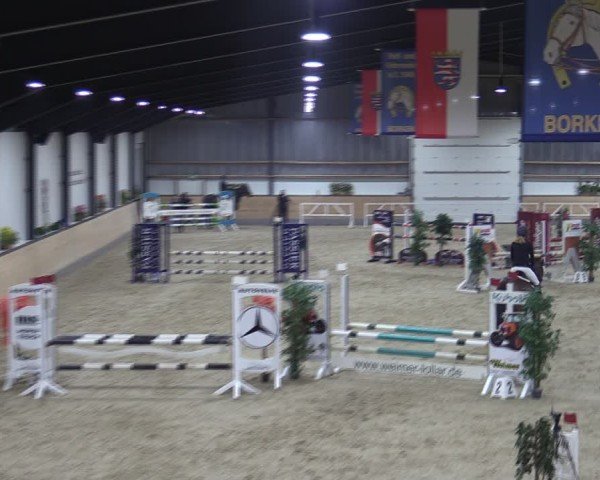 Reitturnier Borken (Hessen) 2025
