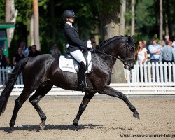 stallion Moncler (Westphalian, 2016, from E.H. Millennium)